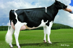 7. generace: MS Vision-Gen Burt Caily EX-90