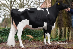 Matka: Cremona Mr VG-85