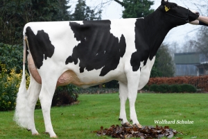 Babička MAR Liecke VG-87