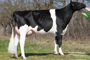 Babička: WEH Rosita VG-86