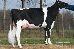 Prababička: Rosylane VG-86