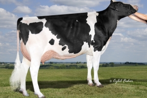 Babička: Lars-Acres Delta Ferrari EX-91