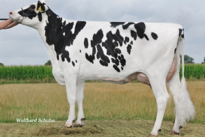 4. generace: KNO Escurial VG-85