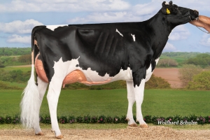 Dcera: Godja VG-86