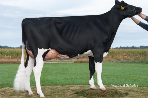 Dcera: SHo Beauty VG-86