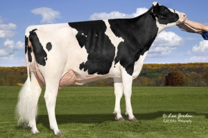 Babička: Welcome Legendary Gale EX-90