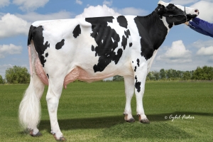 Matka: Welcome Legacy Gaye EX-90