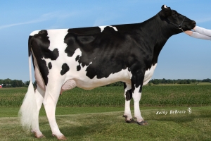 Prababička: Sandy-Valley No Limit VG-86