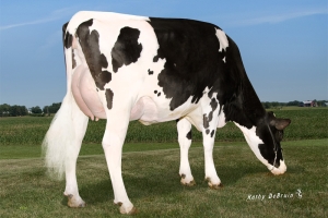 Pravá sestra babičky: Pine-Tree 5976 Prop 7829 VG-86