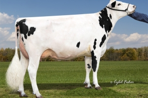 4. generace: Kings-Ransom KB Delicate EX-93