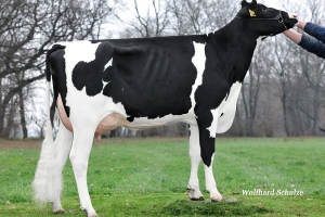 5. generace: SHA Balisto Gerenuk EX-91