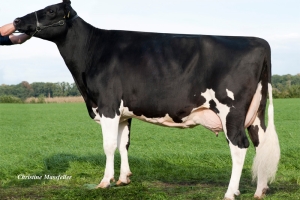 6. generace: WIL Kairo VG-89