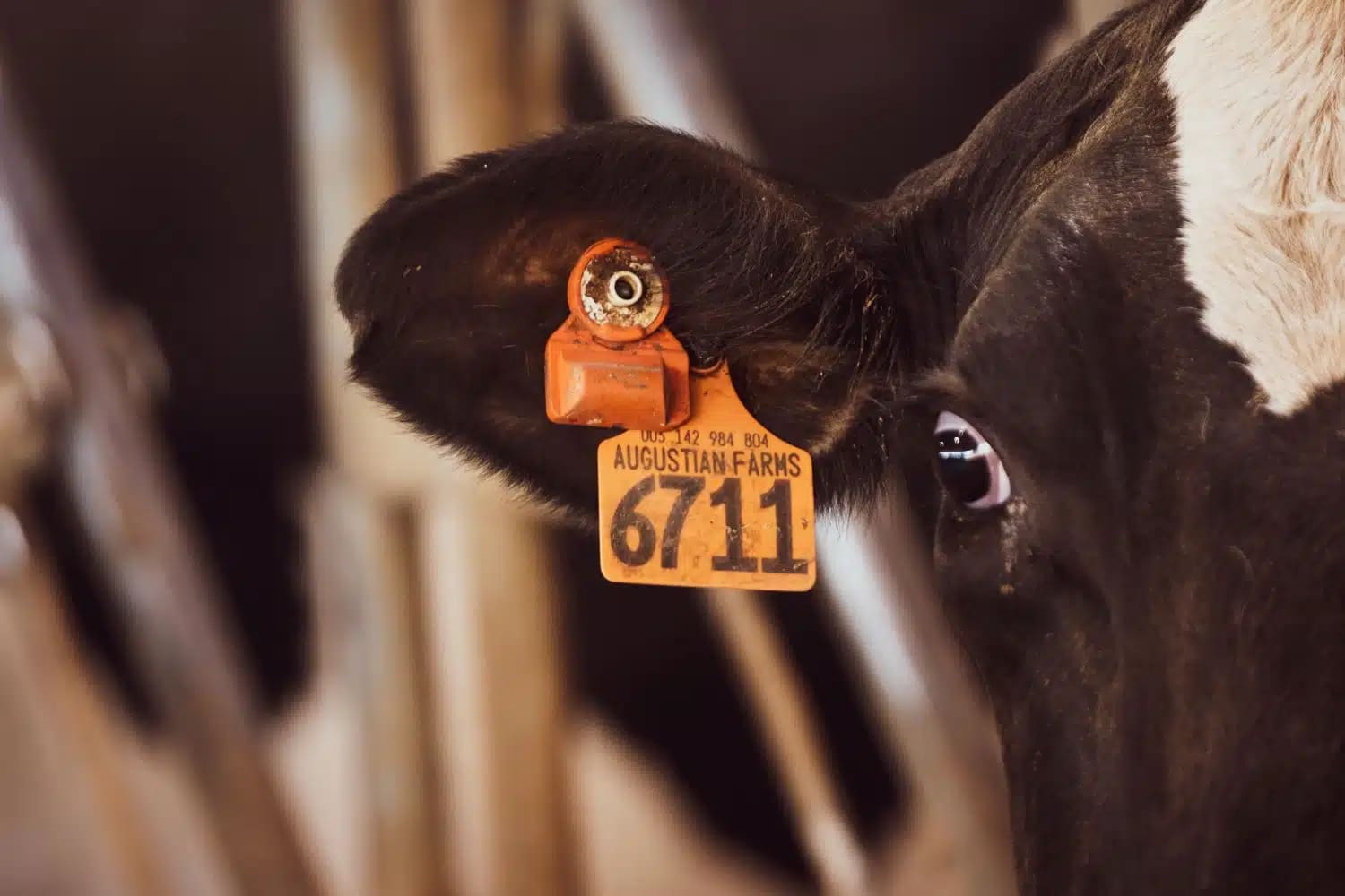 CowManager